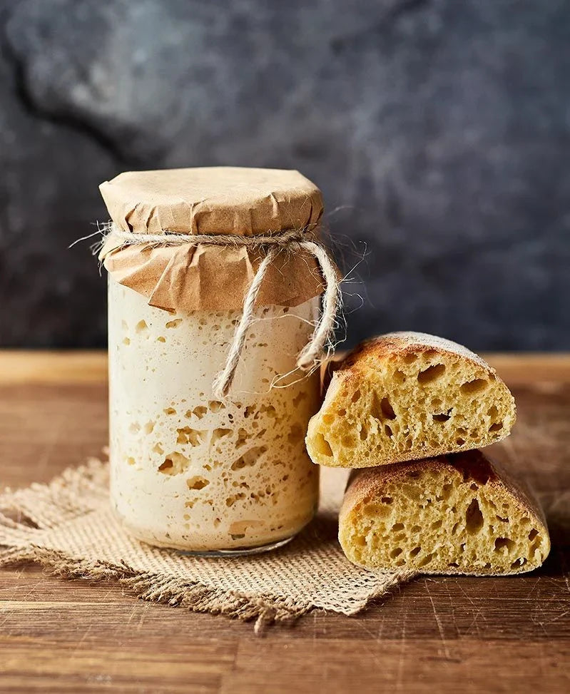Sourdough Origins: A Quiet History of Wild Yeast and Human Hands