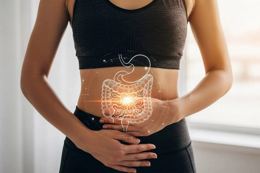 Why Fermented Foods Reduce the Work Your Digestive System Has to Do