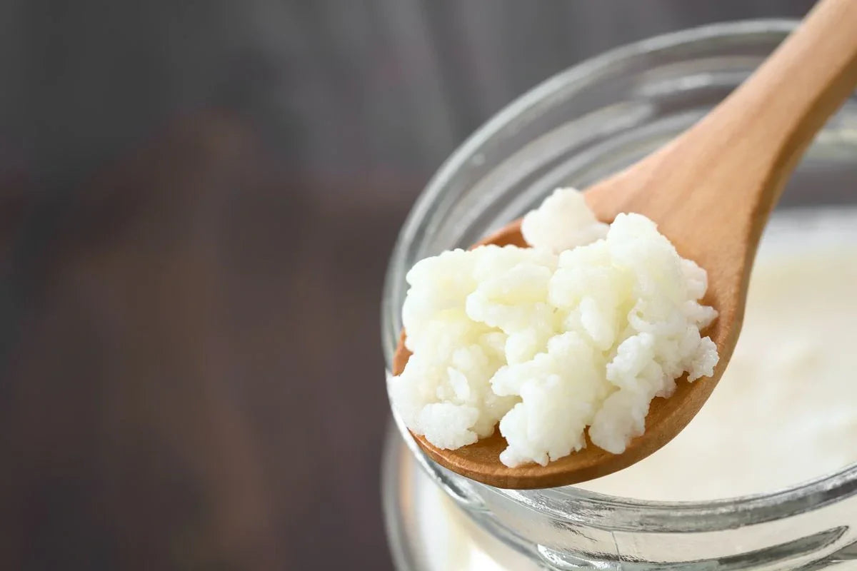 What Are Milk Kefir Grains and Where to Find Them