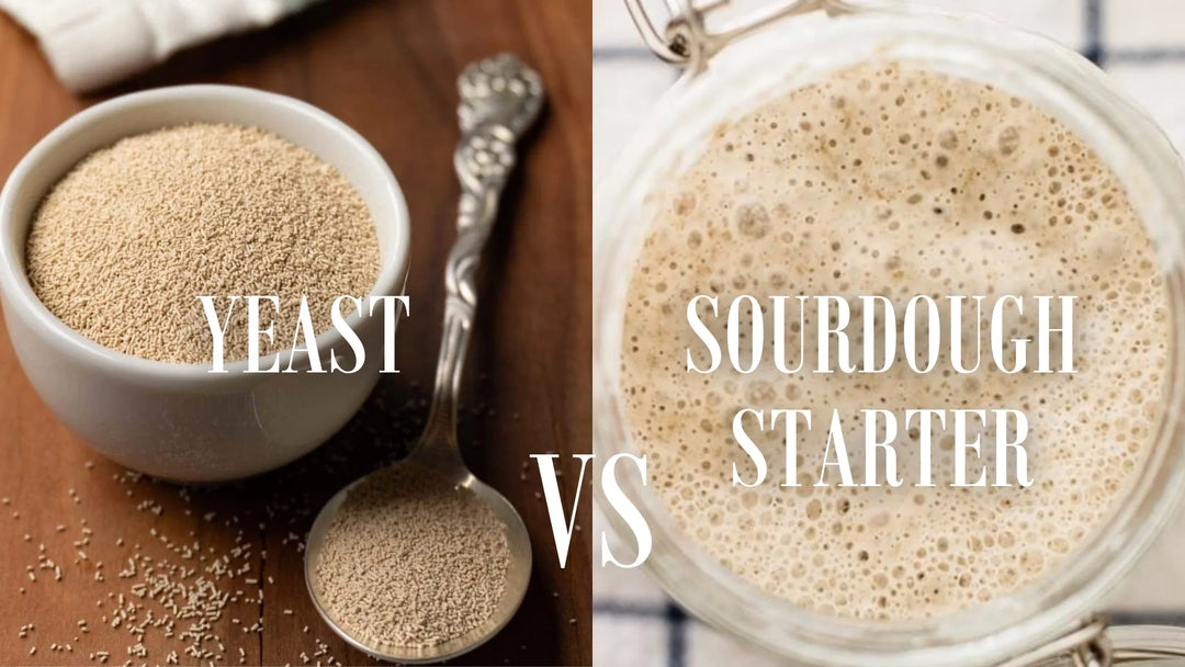 Yeast vs Sourdough Starter: What’s the Real Difference in Bread Making?