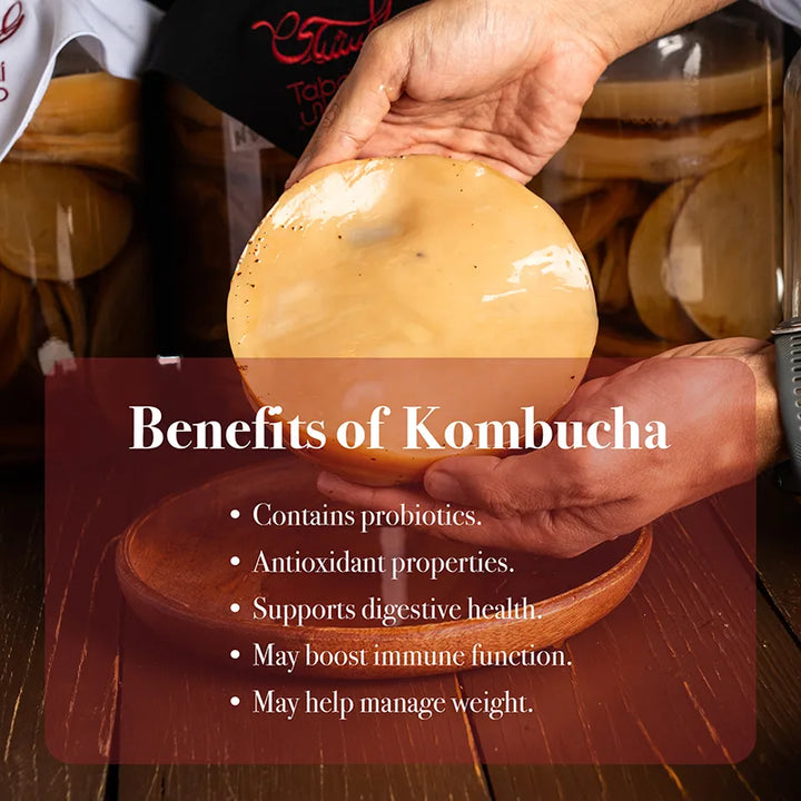 Benefits of Kombucha
