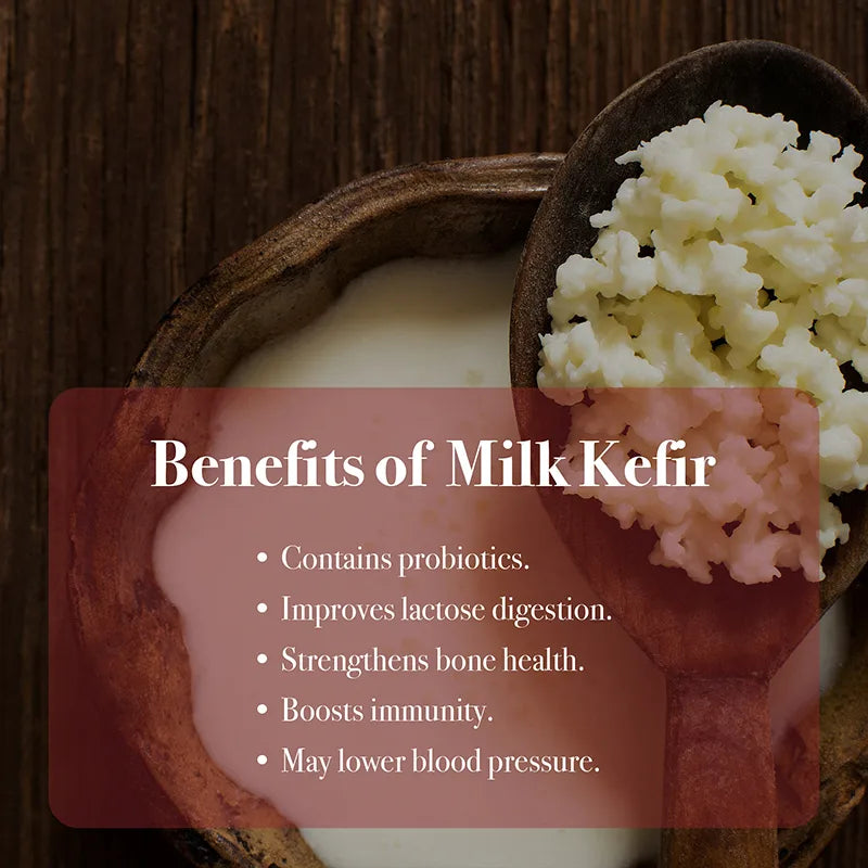 Benefits of Milk Kefir