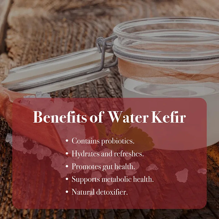 Benefits of Water Kefir (1)