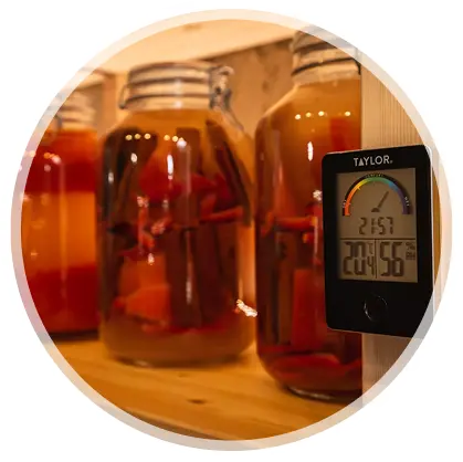 Fix digestion and gut health