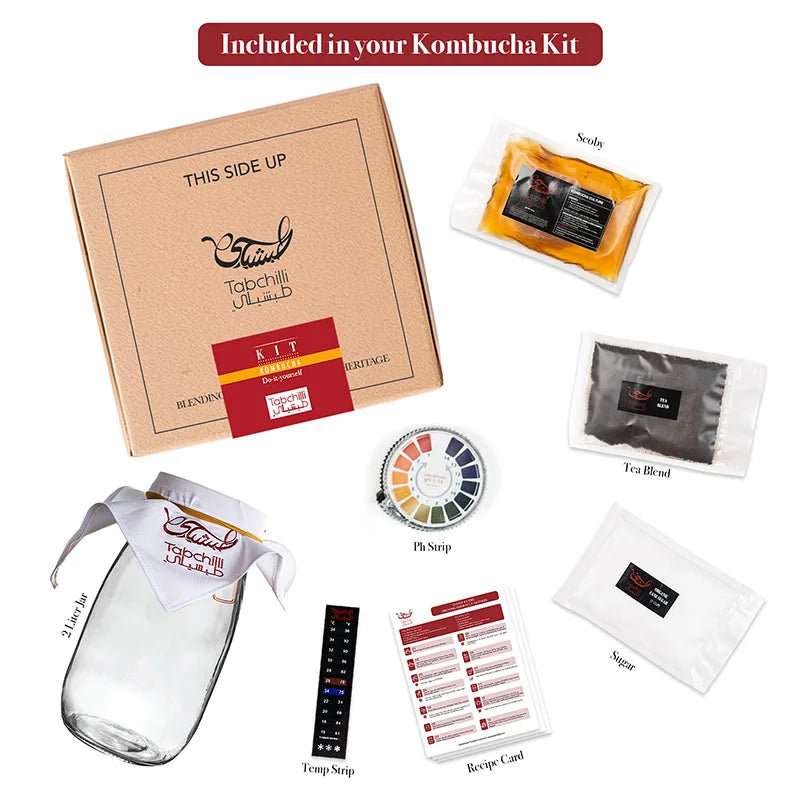 Kombucha Box with Elements