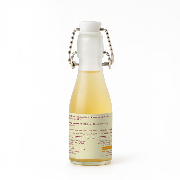 Kombucha bottle-back