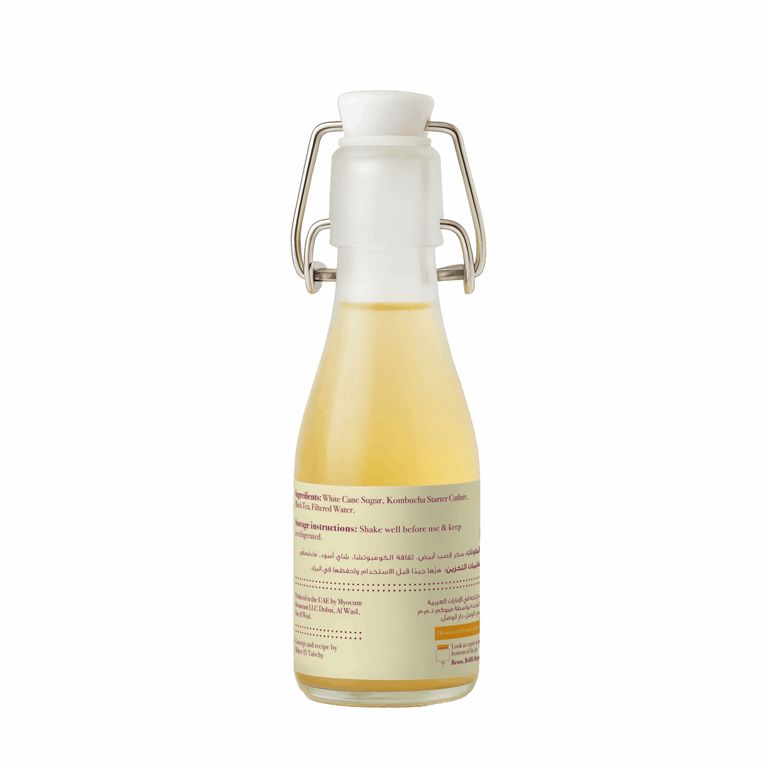 Kombucha bottle-back
