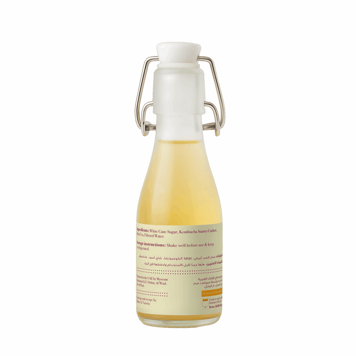 Kombucha bottle-back