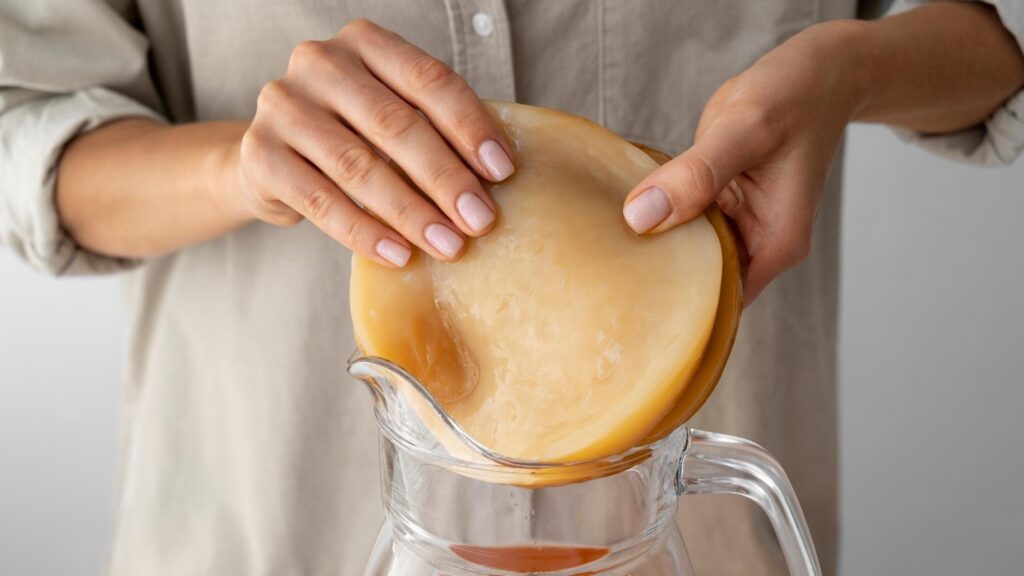 Organic Kombucha Scoby UAE