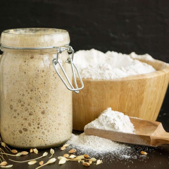 Buy Sourdough Starter 50g Dubai