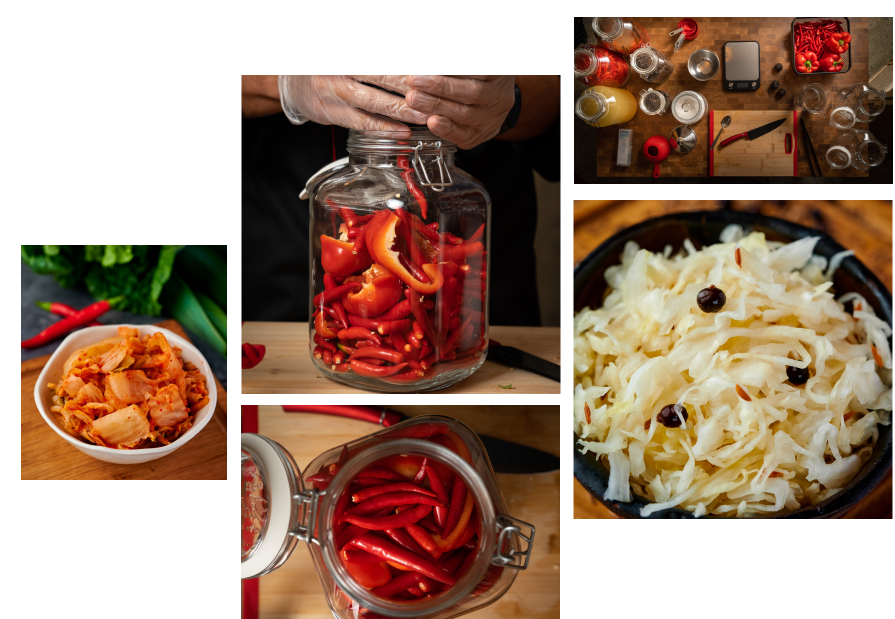 Fermented Foods Online Semester