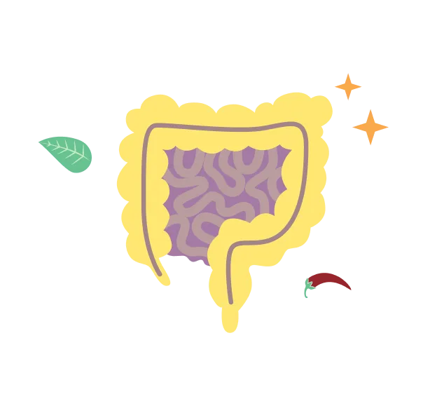 Role of Gut Health