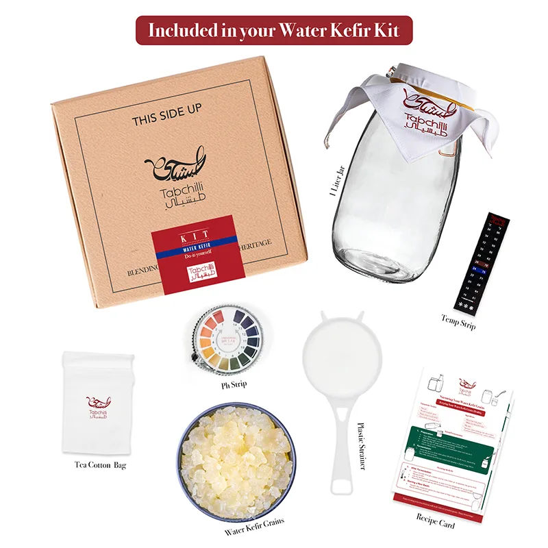 Water Kefir kit